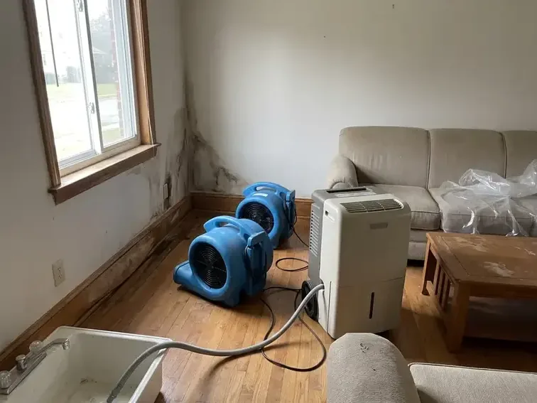 Air movers and a dehumidifier drying a living room after a leak