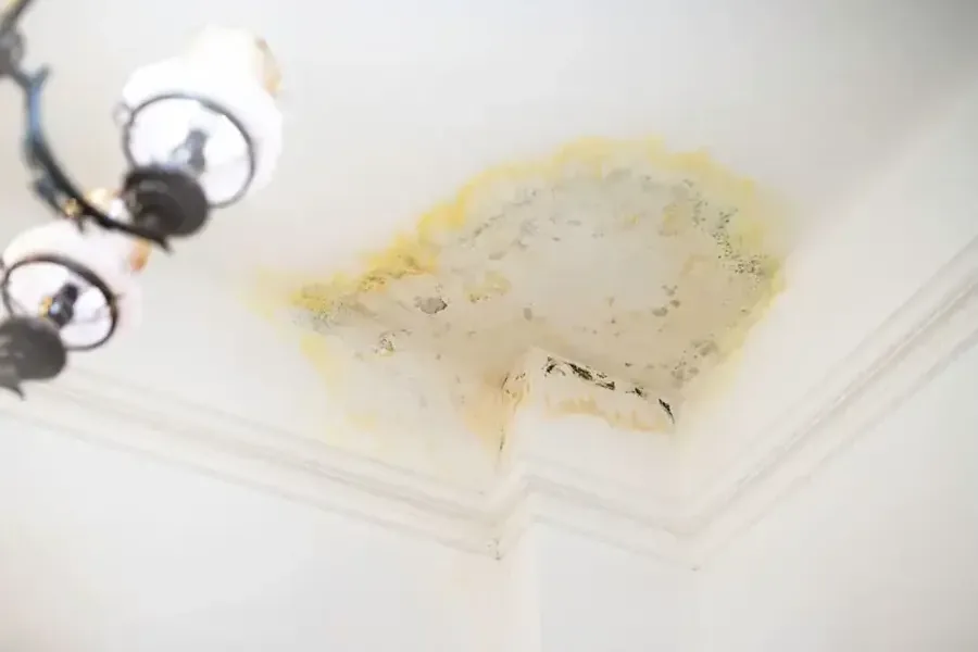 Yellow-brown water stain spreading across a painted ceiling from a leak above